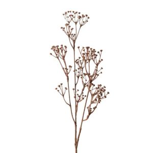 Talinum - Jewels of Opar