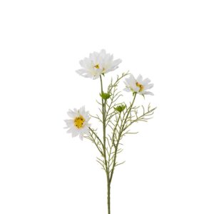 Stolt kavaler - hvid