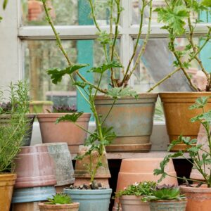 Alternative view of Agnete - Beige Green - Ø 10 cm