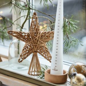 Alternative view of Topstjerne i pileflet