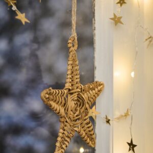 Alternative view of Stjerne i pileflet - Stor