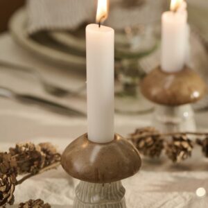 Alternative view of Svampe stage