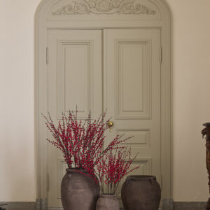 Alternative view of Bærgren med røde bær