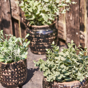 Alternative view of Kunstig succulent plante