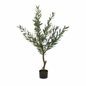 Oliventræ 125 cm