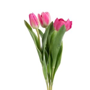 Tulipaner - Pink