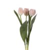 Tulipaner - Rosa
