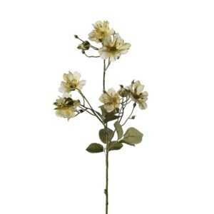 Japansk klatre rose - Gul