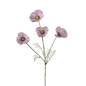 Stolt kavaler - Rosa