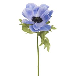Fransk Anemone - Blå