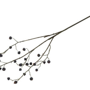 Alternative view of Bærgren - Sort