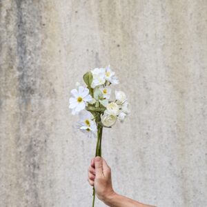 Alternative view of Stolt kavaler stilk - Hvid