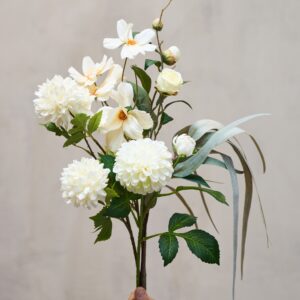 Alternative view of Krysantemum stilk