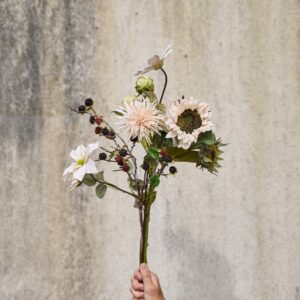 Alternative view of Klematis stilk