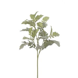 Gråblad, Silverek