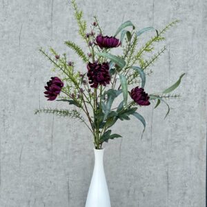 Alternative view of Asparagus grøn