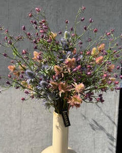 Alternative view of Tidsel brun/rosa