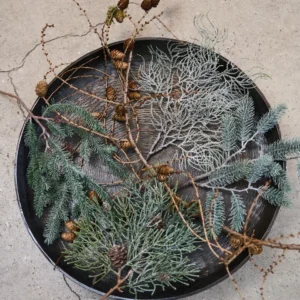 Alternative view of Cypress gren med sne