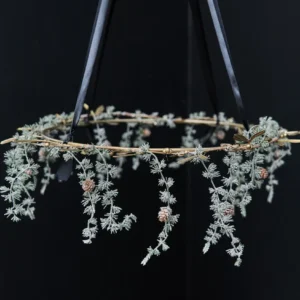 Alternative view of Guirlande m/sne kogler