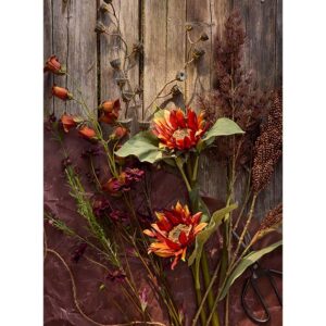 Alternative view of Blåklokke - Brun