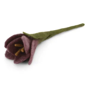 Lilla krokus
