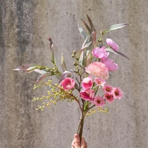 Alternative view of Krysantemum - Pink