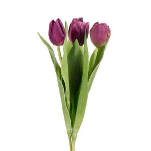 Tulipan - Mørk Lilla