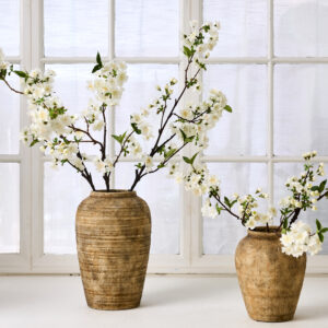 Alternative view of Kirsebærgren, Hvid