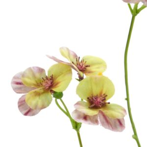 Alternative view of Stedmoder blomst pink/lys gul