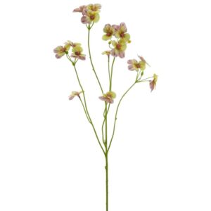 Stedmoder blomst pink/lys gul