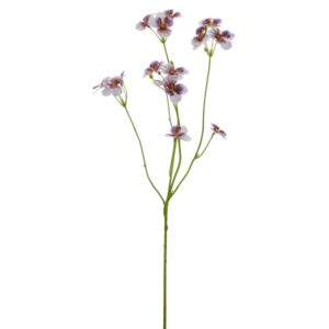 Stedmoder blomst Lilla