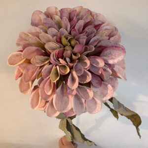 Alternative view of Dahlia, Pink