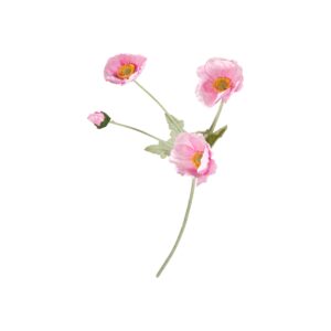 Valmue stilk, pink