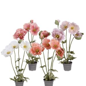 Alternative view of Valmue - Dusty Rose