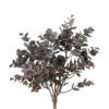 Eucalyptus buket purple