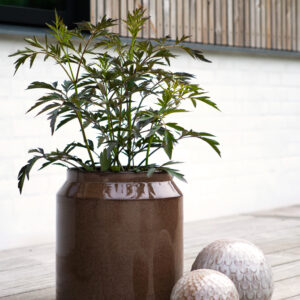 Alternative view of Azura outdoor pot, Stor - Cappuccino