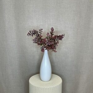 Alternative view of Eucalyptus buket purple