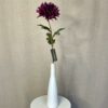 Chrysanthemum - Billede 2