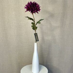Alternative view of Chrysanthemum