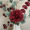 Chrysanthemum bordeaux - Billede 3