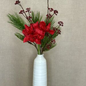 Alternative view of Amaryllis rød