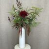 Chrysanthemum bordeaux - Billede 4