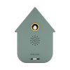 Modern Cuckoo, Jungle Green