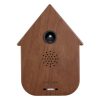 Modern Cuckoo, Dark Wood