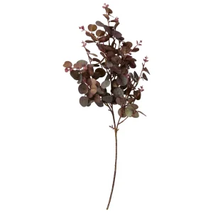 Eukalyptus stilk