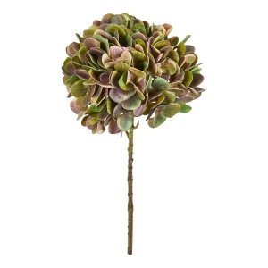 Hortensia stilk