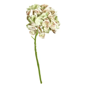 Hortensia stilk