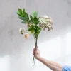 Hortensia stilk - Billede 2