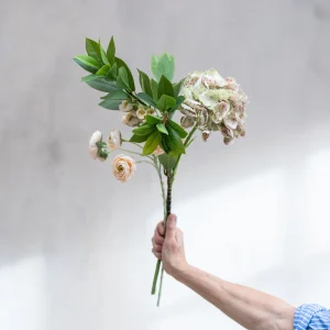 Alternative view of Hortensia stilk