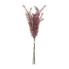 Phytolacca bundt m/ 3 stk, Rosa